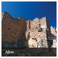 Ajlun Tour